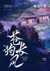 苍狗长风王忠维