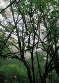 关于某古早校园文中的你 ...