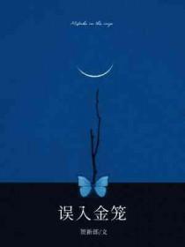误入金笼TXT