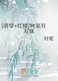 清穿之红楼林家林小