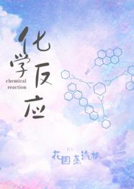 化学反应(校园H) 作者花园蒸汽机