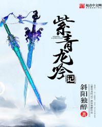 紫青龙吟记好看吗