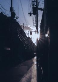 你是我的曙光by