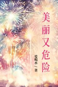 美丽的危险歌词