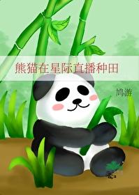 主角是熊猫的星际