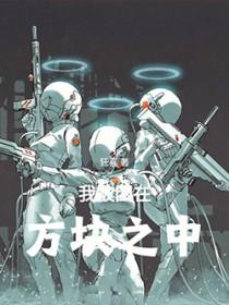 我被困在方块之中无错精修