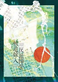 被迫嫁入反派阵营晋江