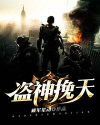 盗神盗圣盗帅
