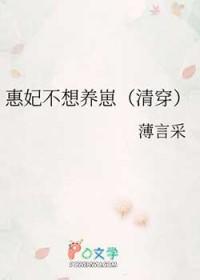 清穿惠妃的