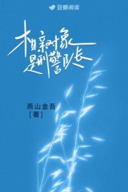 相亲对象是刑警队长by燕山吾