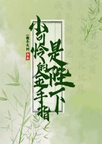 小可怜的操作手册 快穿文