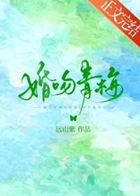 婚吻青梅TXT资源