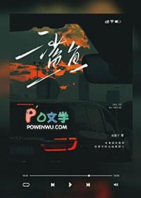 鲨鱼肚的功效与作用