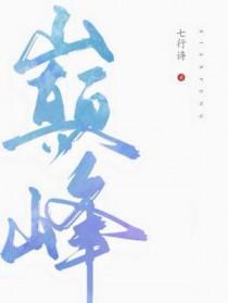 巅峰软件库