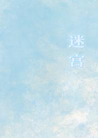 迷宫1v1校园免费阅读