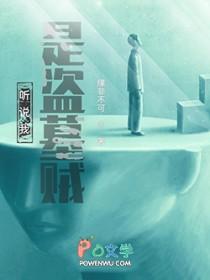 听说我是盗墓贼起点