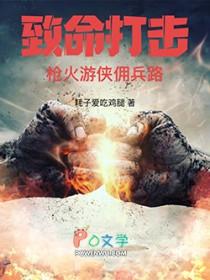 致命打击枪火游侠佣兵路笔趣阁