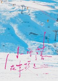 雪花落在车窗上