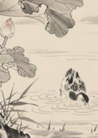全京城都在等我掉马无防盗