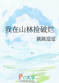 我在捡碎片笔趣