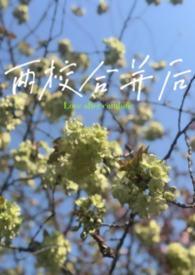对于两校合并的意见和建议