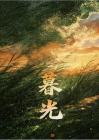 暮光系列