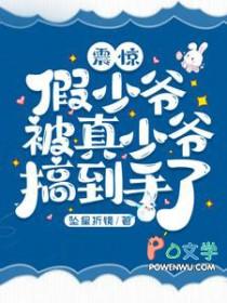 假少爷电影