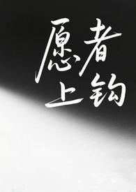 愿者上钩 在线阅读