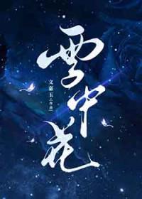 雪中花西幻