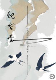 观云浓香型白酒52度价格