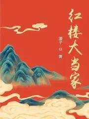 红楼大当家 讲的什么