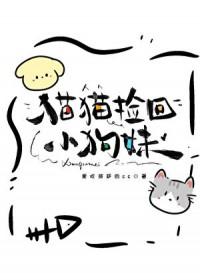 小猫捡回家怎么处理