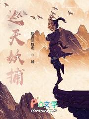 巡天妖捕百度百科境界划分