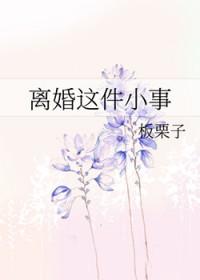 离婚这件小事TXT