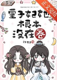 皇子妃的