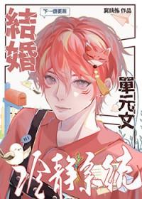 结婚冷静系统·单元文(翼扶摇)