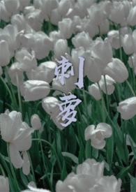 刺萝卜治什么病最好用