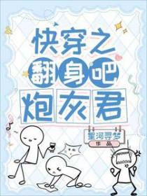 炮灰君大结局