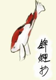 锦鲤抄是哪部动漫的歌