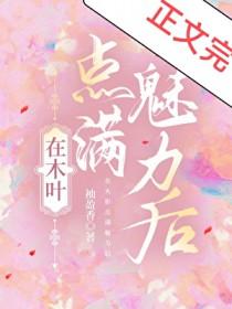 在木叶搞娱乐