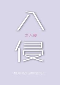 入侵者什么意思