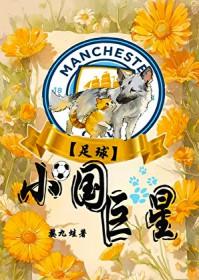 足球小国巨星免费阅读