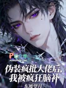 大佬伪装破产