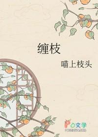 缠枝花纹图案