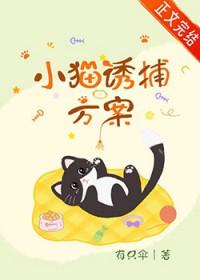 猫咪诱捕器