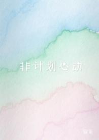非计划是什么意思