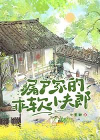 屠户家的乖软小夫郎TXT