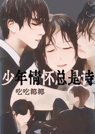 少年情怀总是诗小女婿