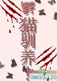 野猫驯养by魏承泽txt