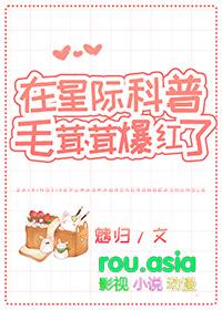 星际 毛绒